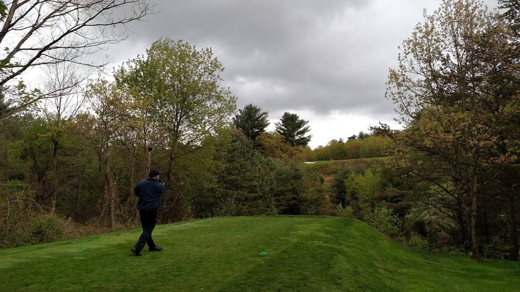 Blue Shamrock Golf Club | restaurant | 2230 Fireline Rd, Palmerton, PA 18071, USA | 6108262504 OR +1 610-826-2504