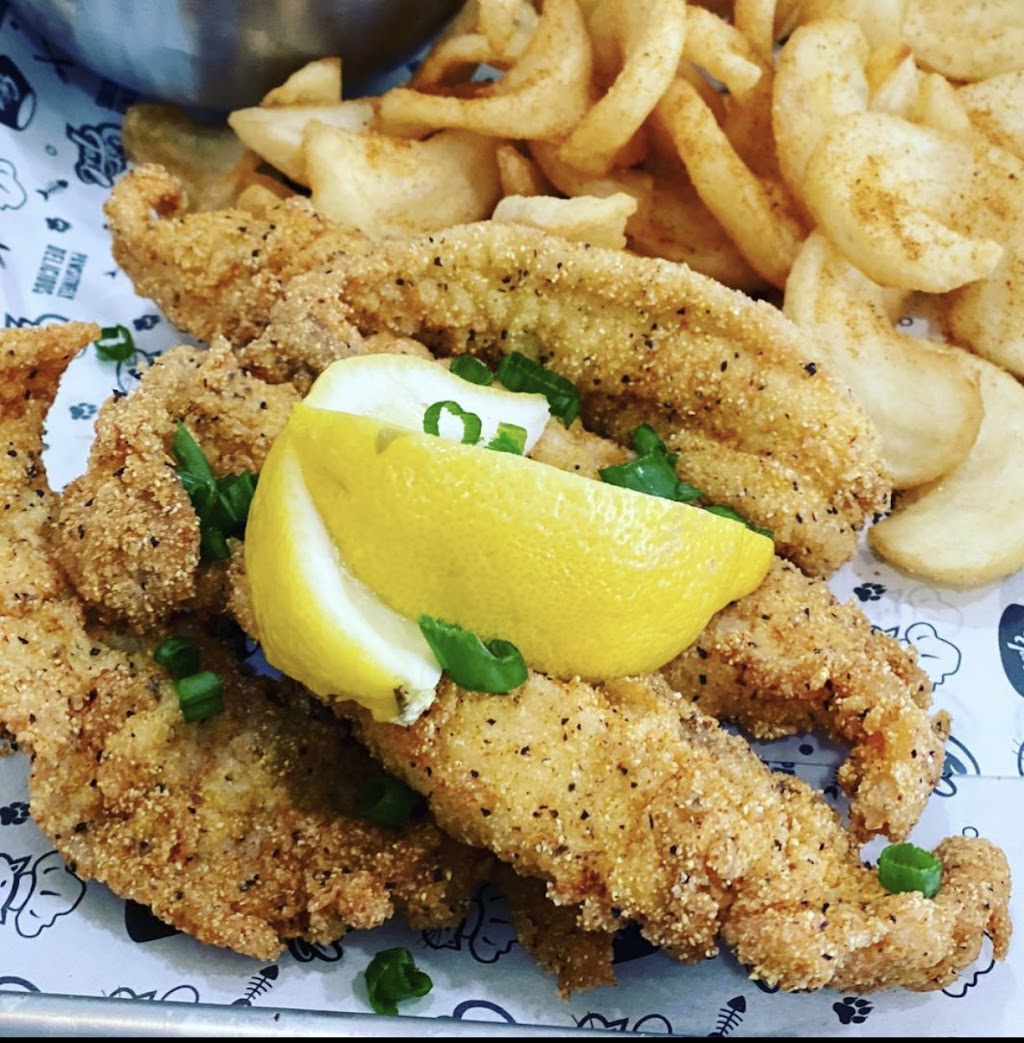 The Cat Shack | restaurant | 2910 S Beckley Ave, Dallas, TX 75216, USA | 2142723362 OR +1 214-272-3362