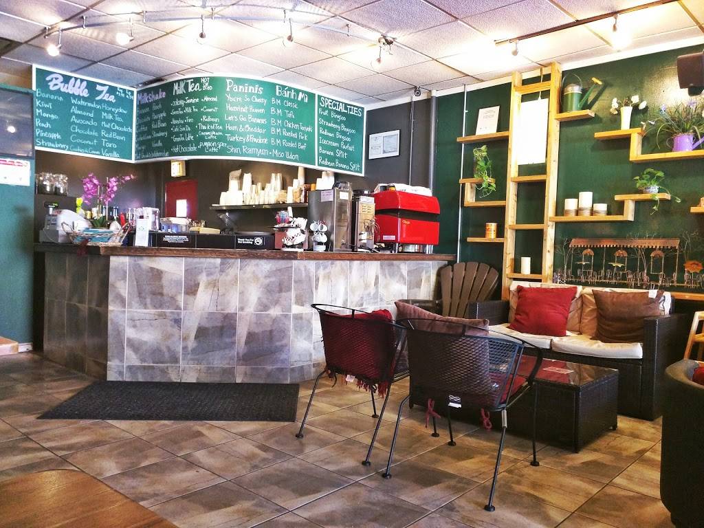 Outdoor Cafe | cafe | 3257 W Bryn Mawr Ave, Chicago, IL 60659, USA | 7735396078 OR +1 773-539-6078