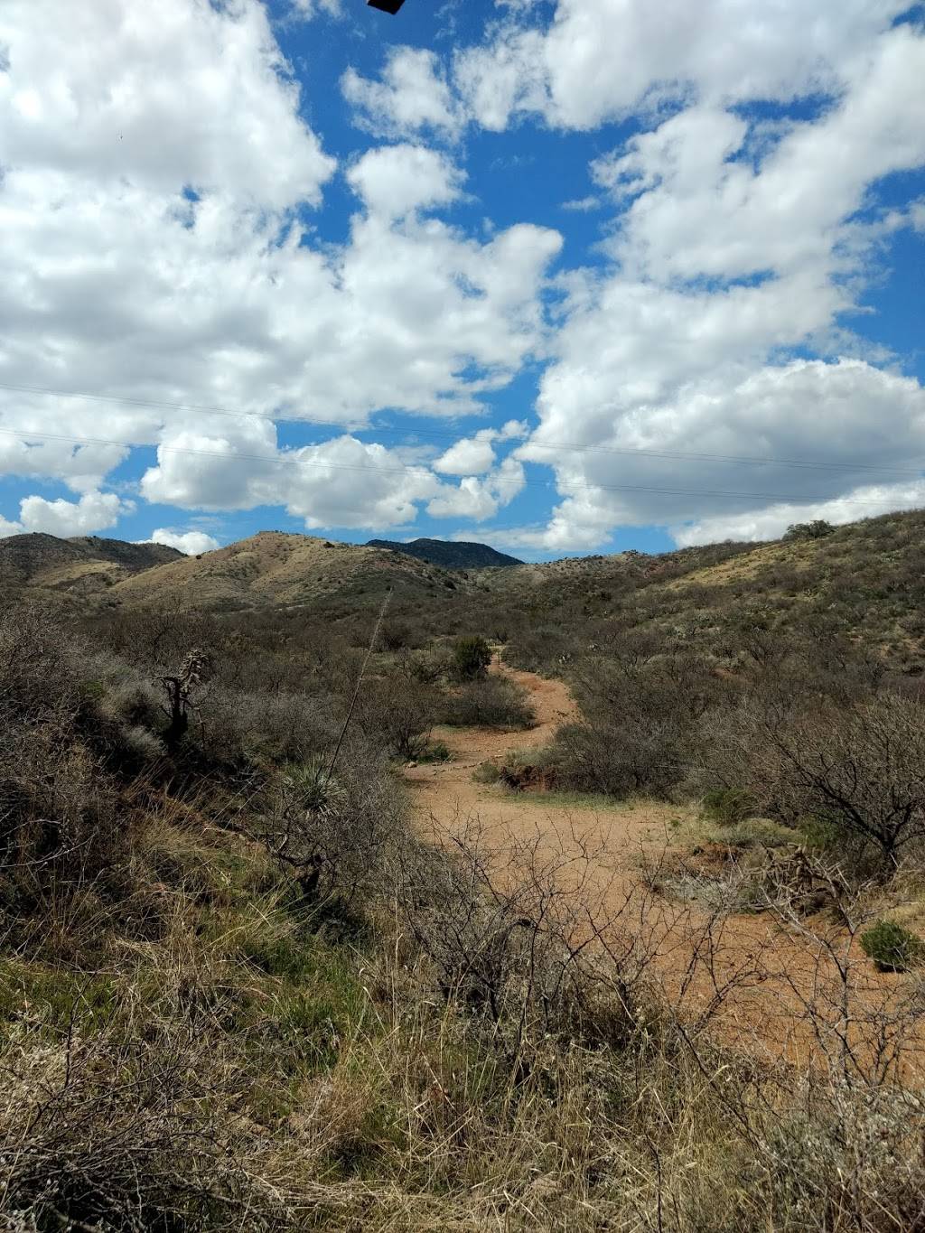 Arizona Zipline Adventures | restaurant | 35406 S Mt Lemmon Rd, Oracle, AZ 85623, USA | 5203089350 OR +1 520-308-9350