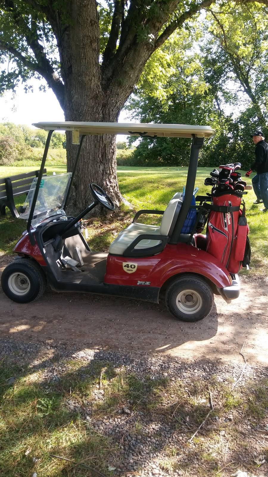 Frederic Golf Course | restaurant | 905 S Wisconsin Ave, Frederic, WI 54837, USA | 7153278250 OR +1 715-327-8250