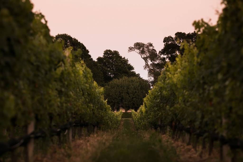 Jamesport Vineyards/Little Oak Wood Fired Kitchen | restaurant | 1216 Main Rd, NY-25, Jamesport, NY 11947, USA | 6317225256 OR +1 631-722-5256