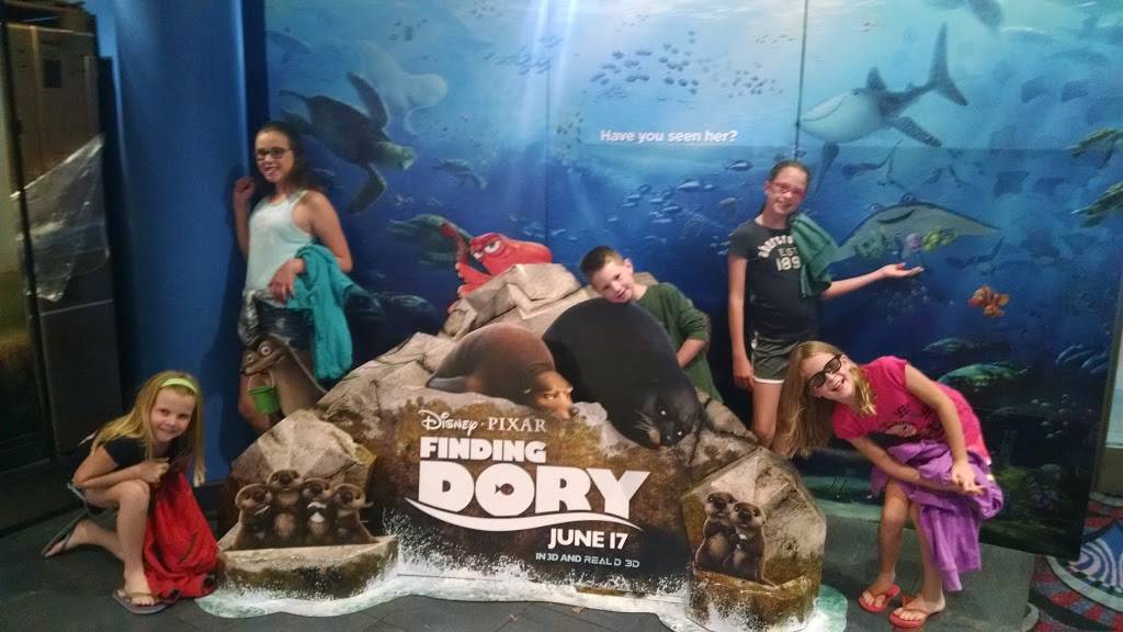 Milford 16 | meal takeaway | 500 Rivers Edge Dr, Milford, OH 45150, USA | 5135769126 OR +1 513-576-9126