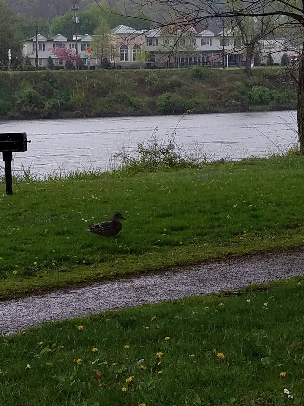 Counts Restaurant | restaurant | 910 Pennsylvania Ave W, Warren, PA 16365, USA | 8147237653 OR +1 814-723-7653