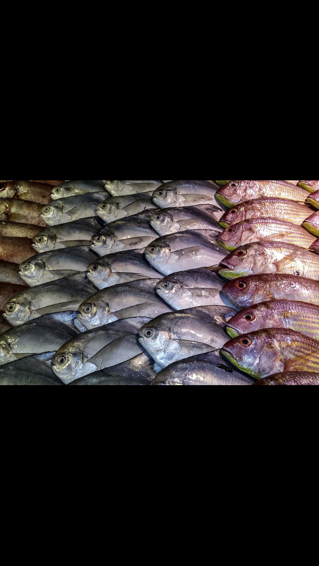 Chene Fish & Seafood Co | restaurant | 644 Chene, Detroit, MI 48207, USA | 3138779606 OR +1 313-877-9606