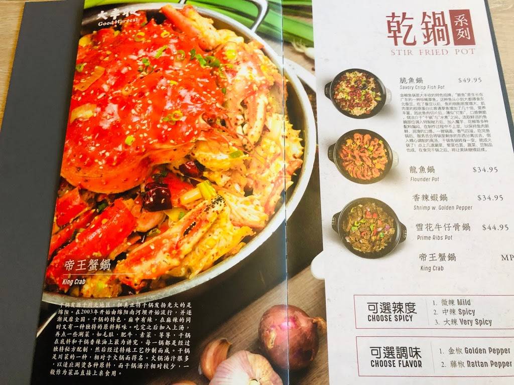 Good Harvest 大丰收 | restaurant | 9889 Bellaire Blvd Suite D-238, Houston, TX 77036, USA | 7134922308 OR +1 713-492-2308