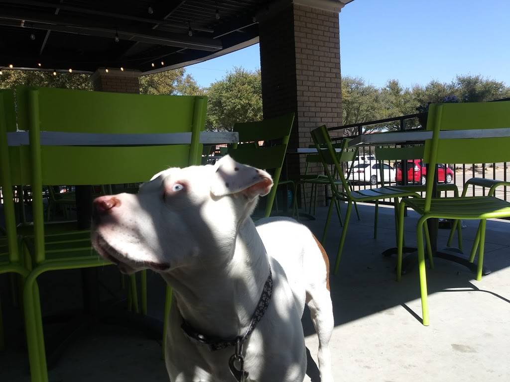 Cafe Gecko Richardson | restaurant | 1381 W Campbell Rd, Richardson, TX 75080, USA | 9723734359 OR +1 972-373-4359