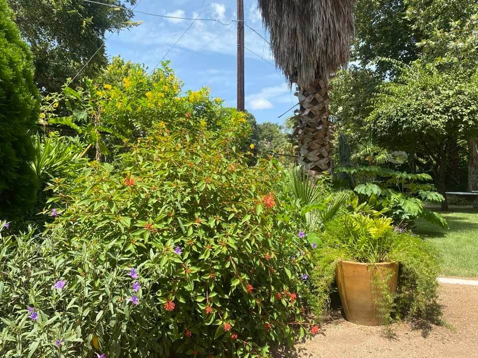 Happy Foods + SWOOP Wine Garden | restaurant | Swoop House & Gardens, 3012 Gonzales St, Austin, TX 78702, USA | 5123856700 OR +1 512-385-6700