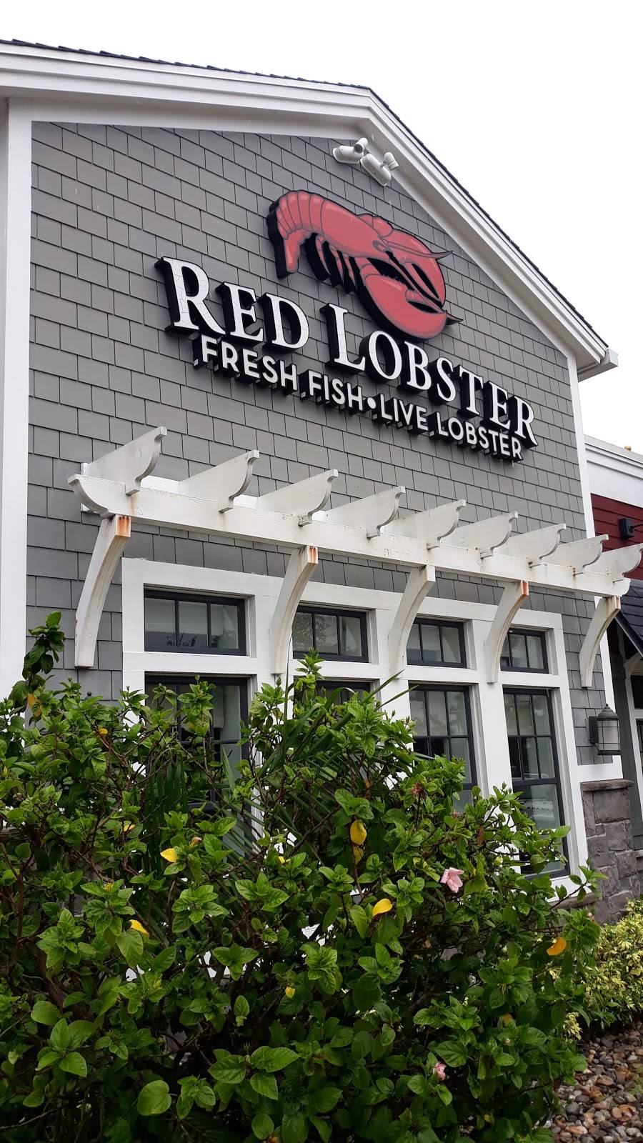 Red Lobster | restaurant | 2301 NE 8th St, Homestead, FL 33033, USA | 7862439650 OR +1 786-243-9650