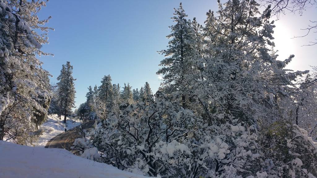 Subway Restaurants | restaurant | 1664 Sepulveda Blvd, Harbor City, CA 90710, USA | 3105345466 OR +1 310-534-5466