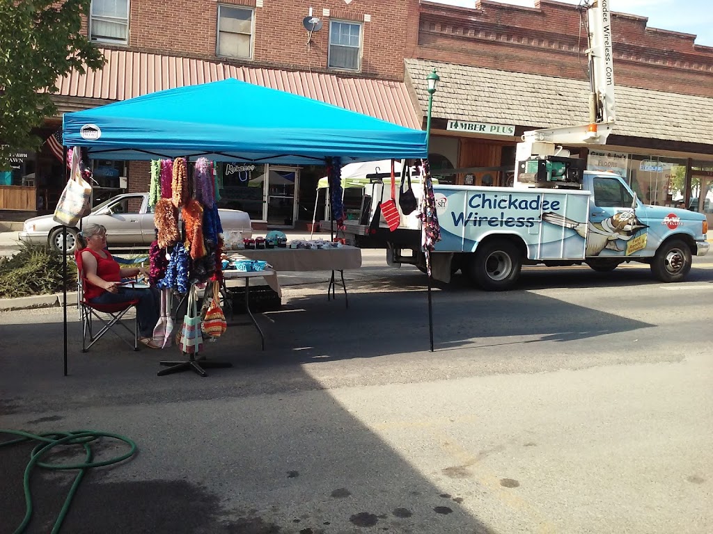 Zips Drive In | restaurant | 127 E College Ave, St Maries, ID 83861, USA | 2082451700 OR +1 208-245-1700