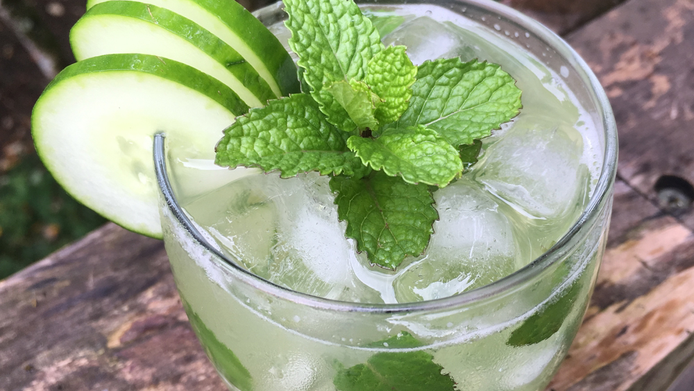 Tree House 46 | restaurant | 7200 N Dixie Hwy, Boca Raton, FL 33487, USA | 5617743136 OR +1 561-774-3136