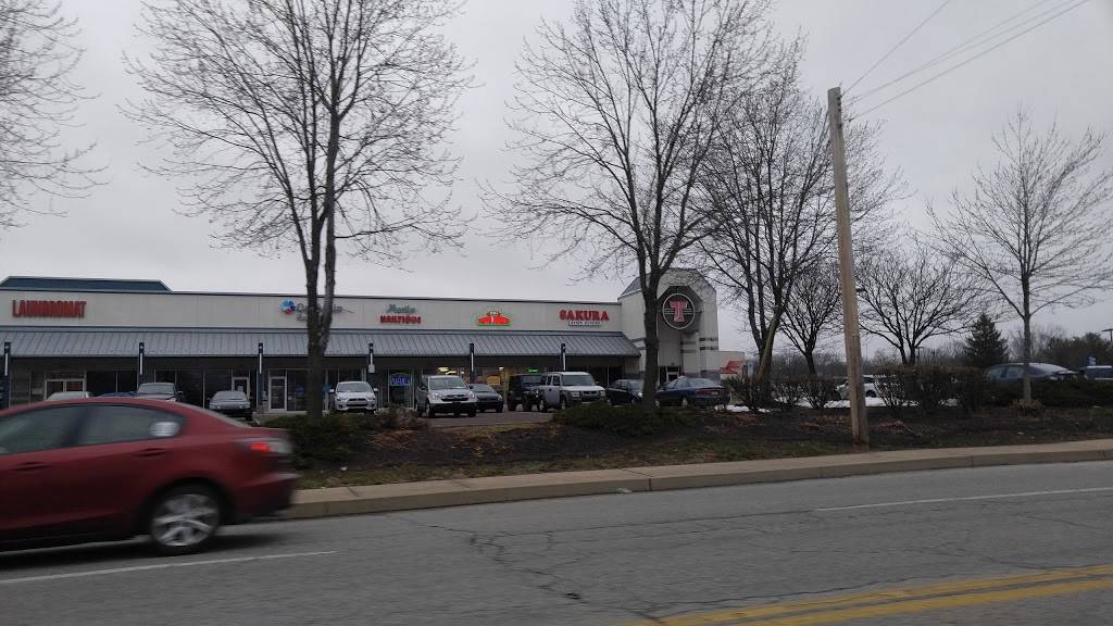 Papa Johns Pizza | restaurant | 204 Shoemaker Rd, Pottstown, PA 19464, USA | 6107059500 OR +1 610-705-9500