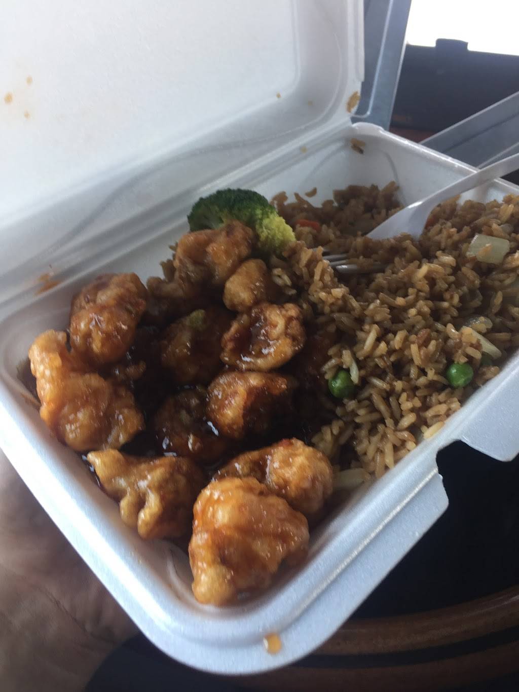 Good Taste Chinese Restaurant | restaurant | 3003, 8221 N Florida Ave, Tampa, FL 33604, USA | 8139908018 OR +1 813-990-8018