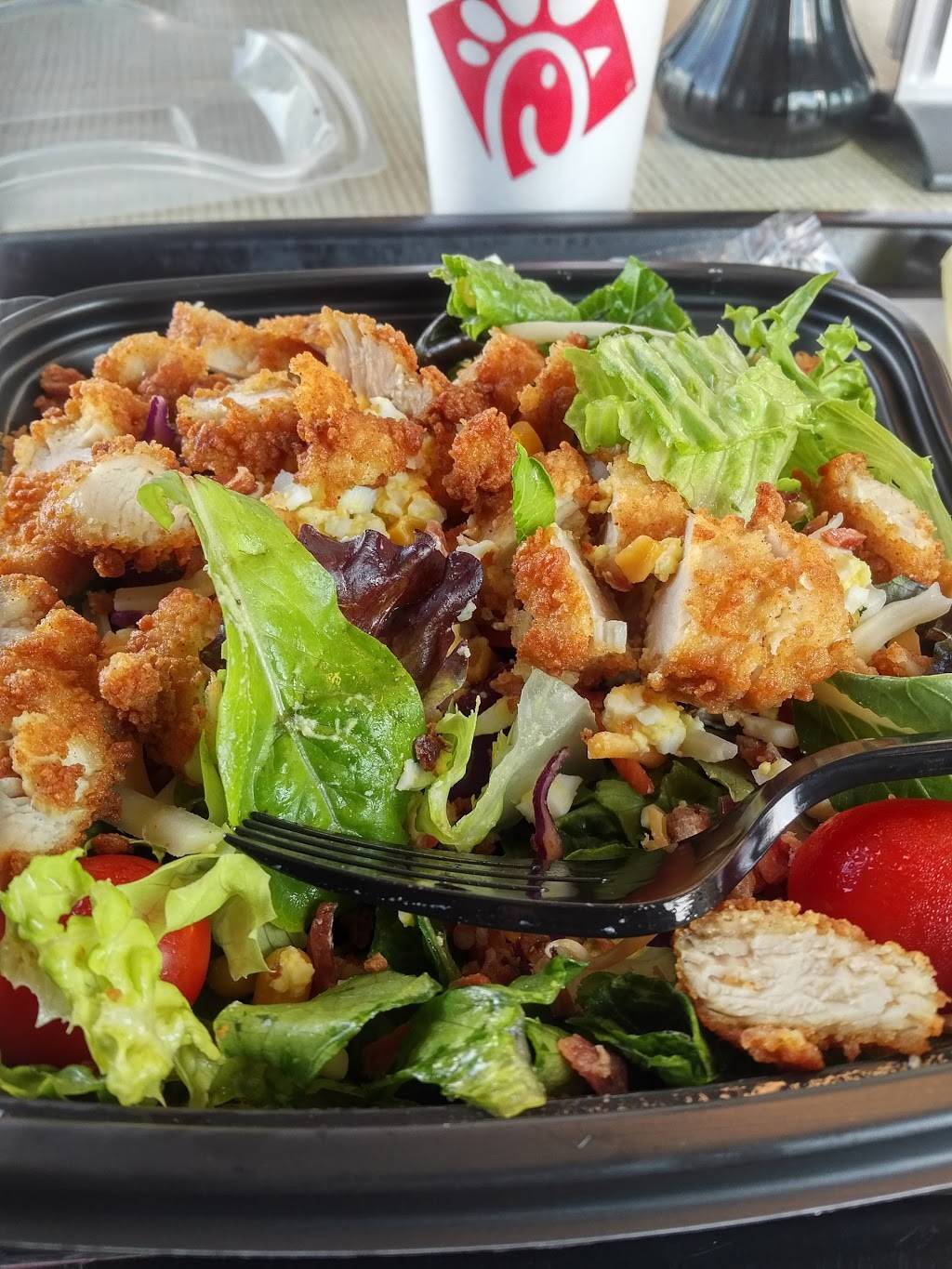 Chick-fil-A | restaurant | 6175 Hwy 6 N Lot 7, Houston, TX 77084, USA | 2818559163 OR +1 281-855-9163