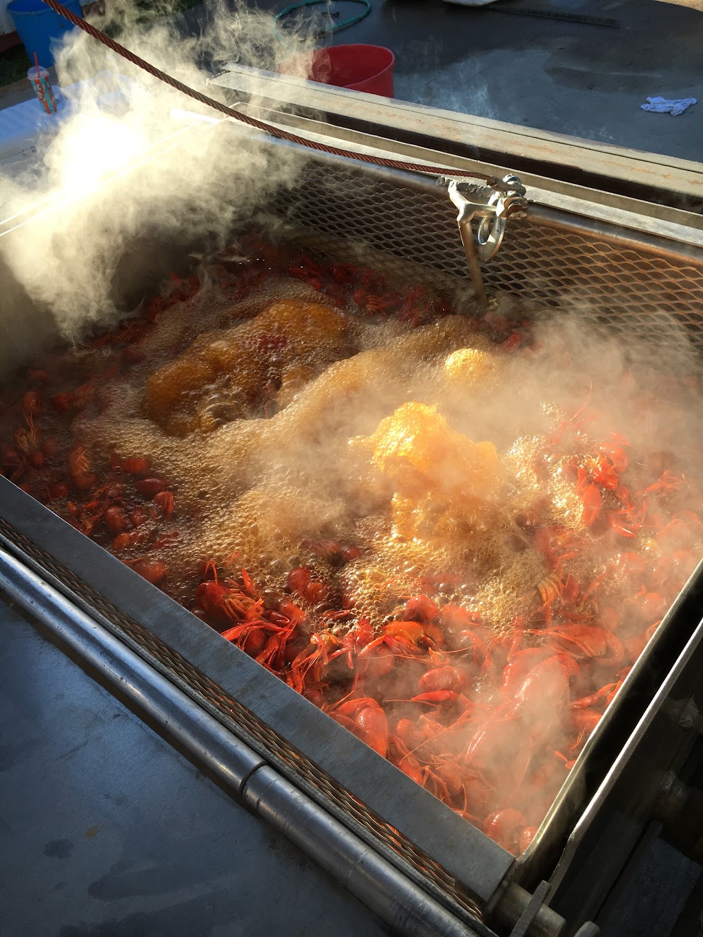 NEBO QUIK STOP | restaurant | 110 Harvey Bradford Rd, Jena, LA 71342, USA | 3189925885 OR +1 318-992-5885