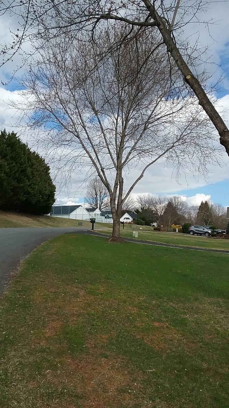 The Westlake | restaurant | 360 Chestnut Creek Dr, Hardy, VA 24101, USA | 5407214215 OR +1 540-721-4215