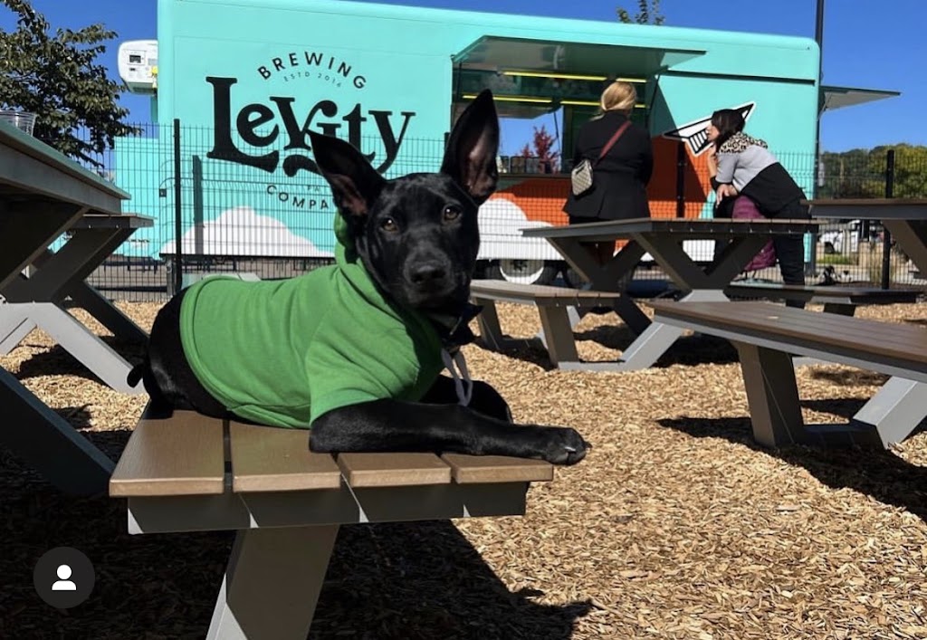 Levity Brewing SSW Dog Park | restaurant | 2706 S Water St, Pittsburgh, PA 15203, USA | 7248407611 OR +1 724-840-7611