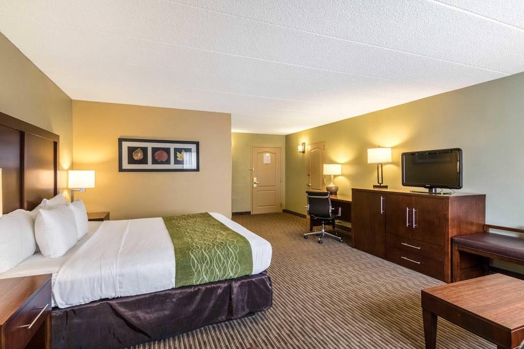 Comfort Inn | restaurant | 3000 Harbor Ln N, Plymouth, MN 55447, USA | 7635591222 OR +1 763-559-1222