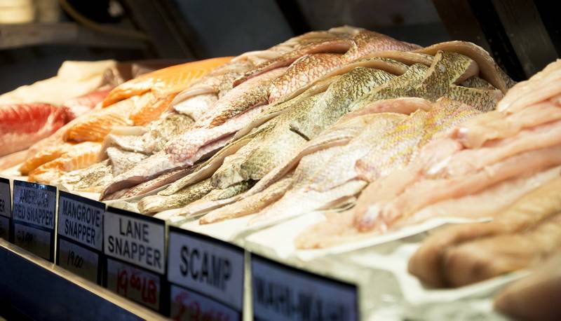 Walts Fish Market Restaurant | restaurant | 4144 S Tamiami Trail, Sarasota, FL 34231, USA | 9419214605 OR +1 941-921-4605