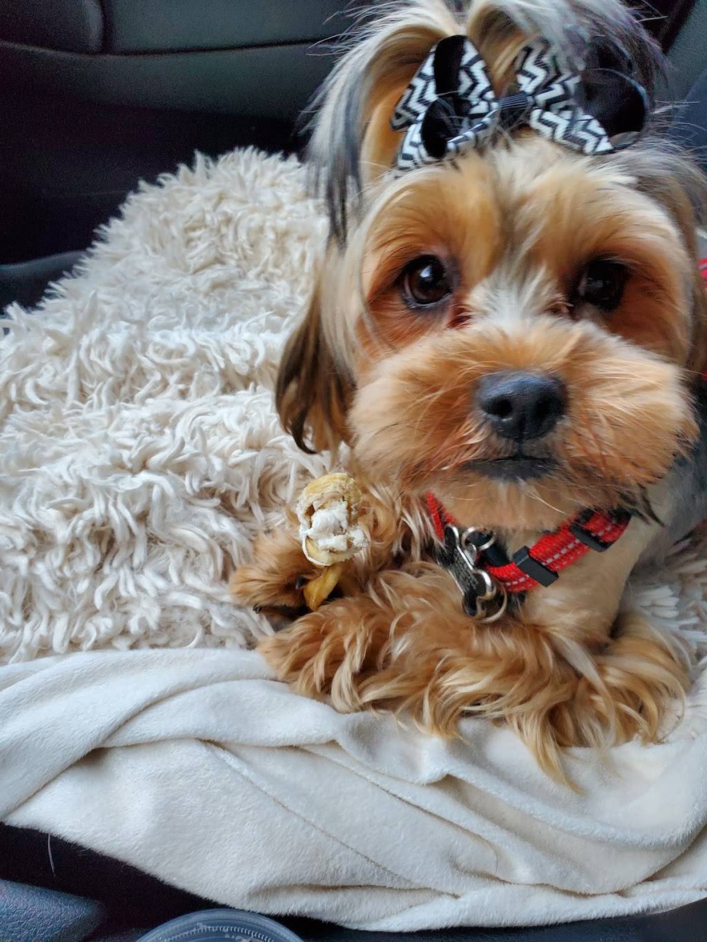 Starbucks | cafe | 10 Huntington Road, Athens, GA 30606, USA | 7063536632 OR +1 706-353-6632