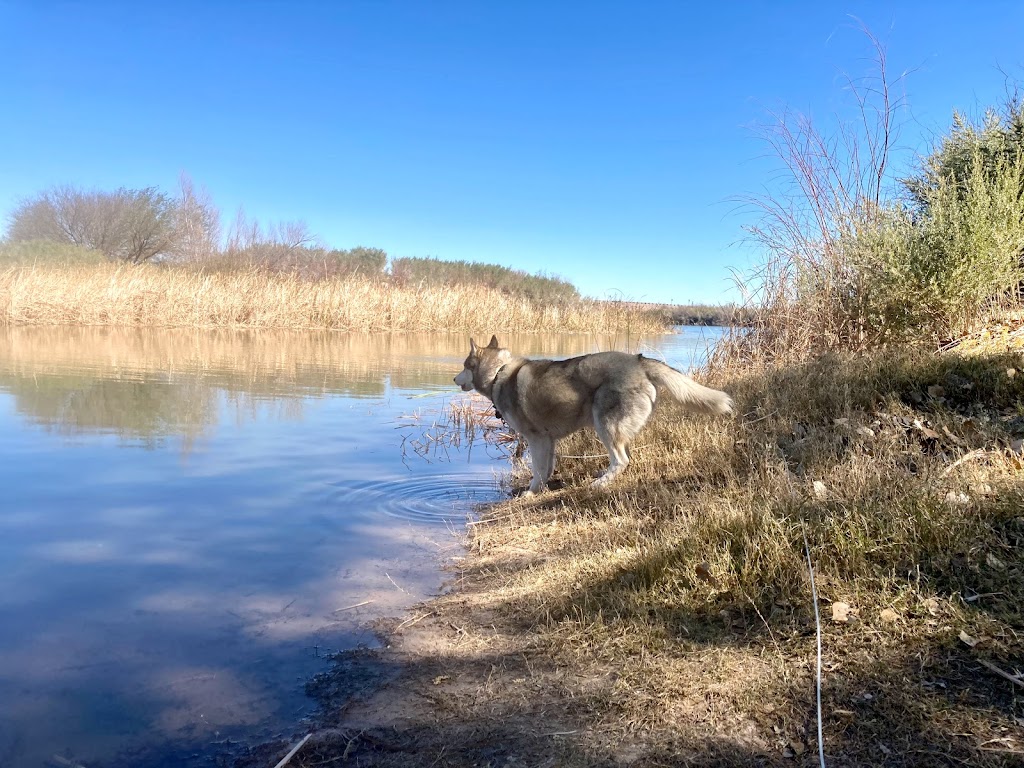 Karlz Sand Shack | restaurant | Baseline Rd, Cibola, AZ 85328, USA | 5202217651 OR +1 520-221-7651