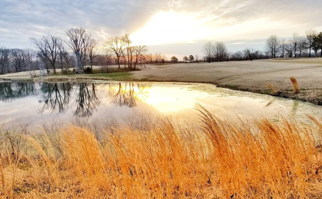 Metfield Golf Complex (Dogwood/Brittany) | meal takeaway | 1 E Euston Rd, Bella Vista, AR 72714, USA | 4798558160 OR +1 479-855-8160