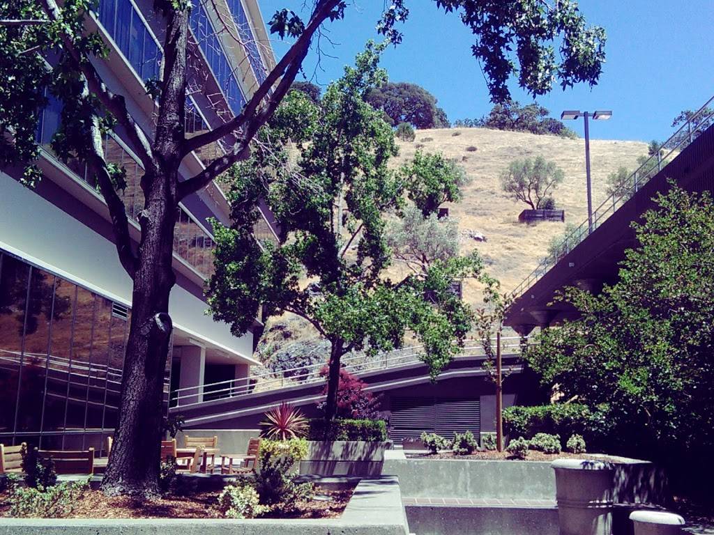 Cafe 4040 | restaurant | 4040 Civic Center Dr # 150, San Rafael, CA 94903, USA | 4154797590 OR +1 415-479-7590