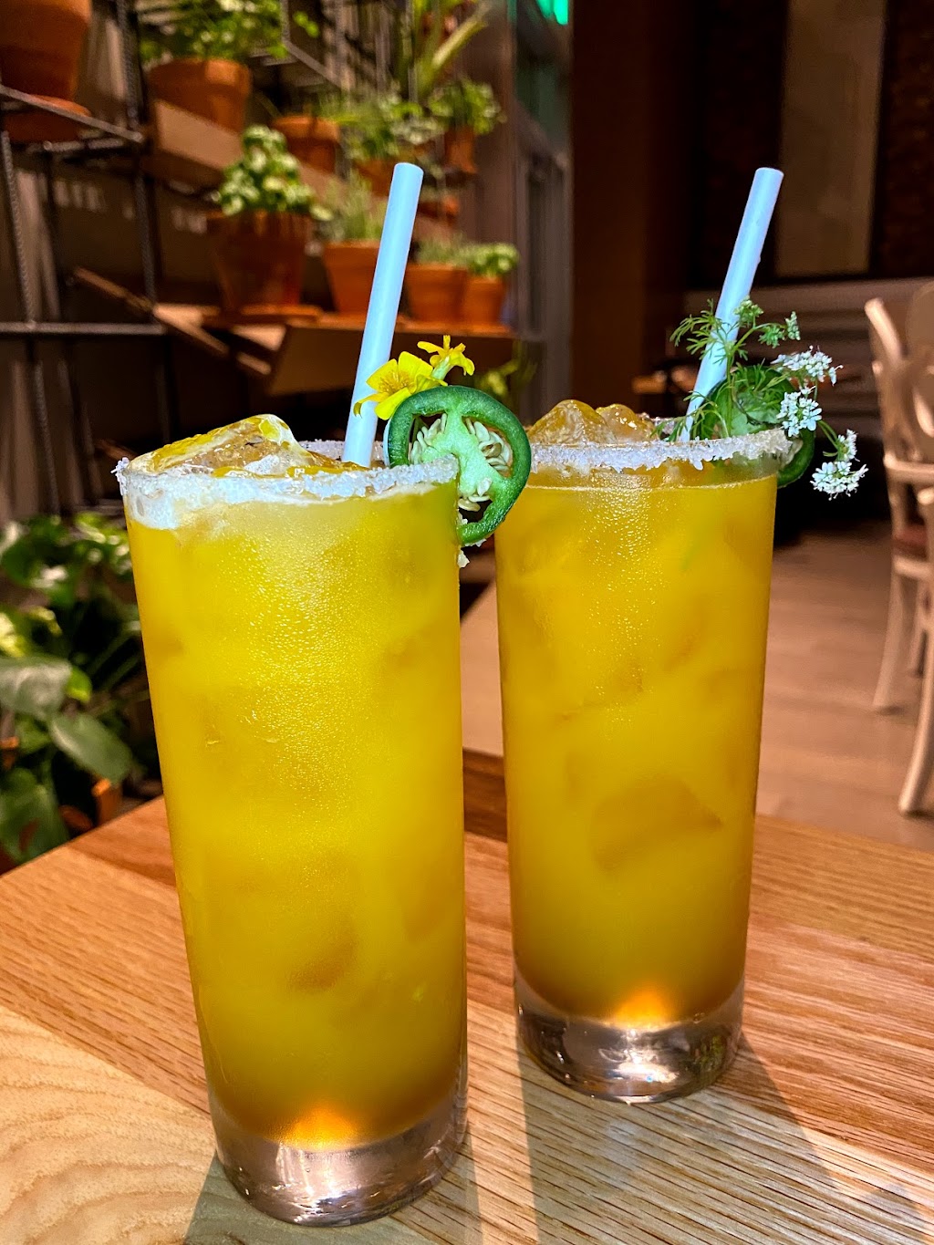 Table 55 | restaurant | 9100 N Kendall Dr, Miami, FL 33176, USA | 7863585588 OR +1 786-358-5588