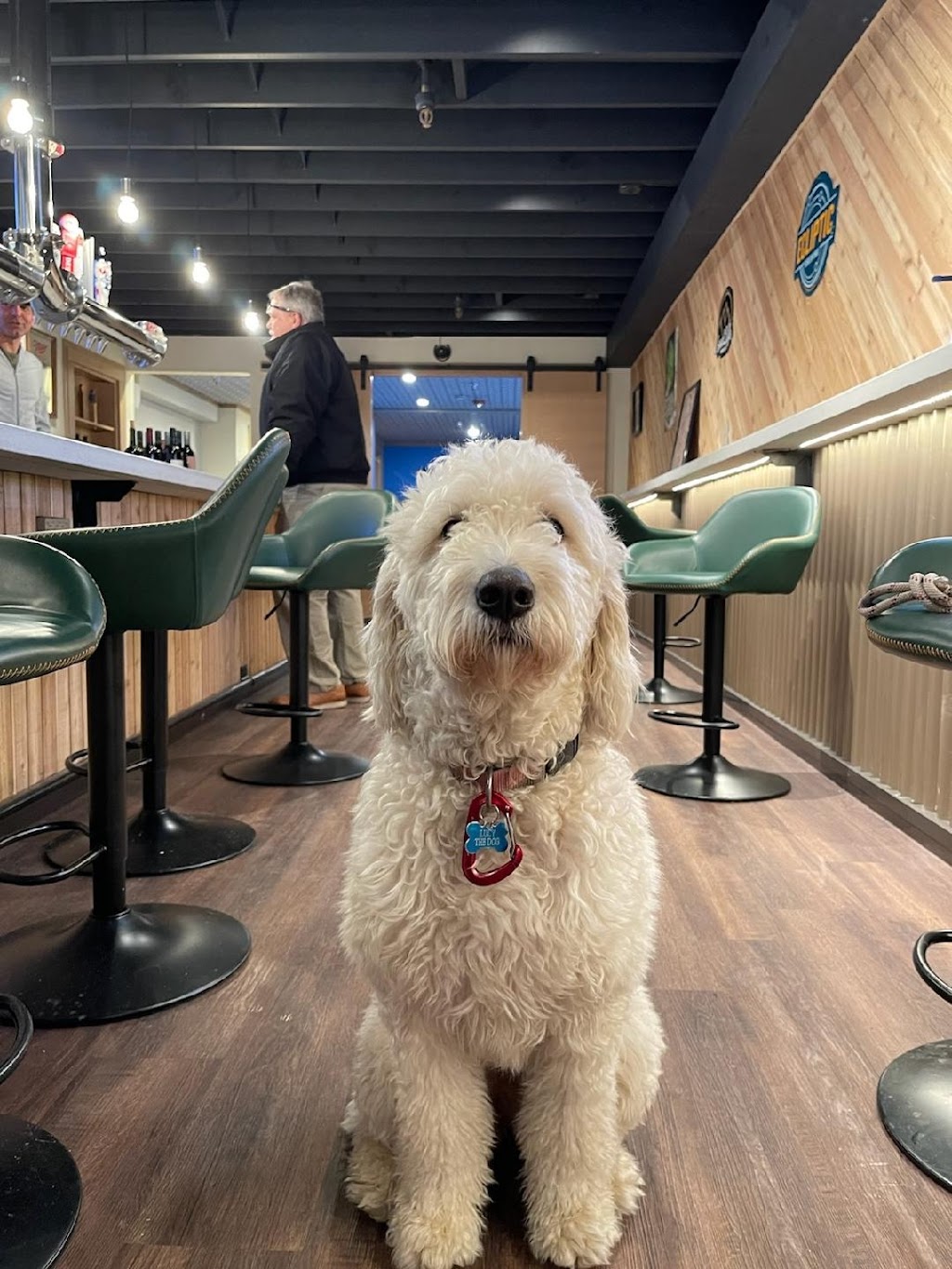 Backside Kegs | restaurant | 740 NE 3rd St Suite #6, Bend, OR 97701, USA | 5417881128 OR +1 541-788-1128