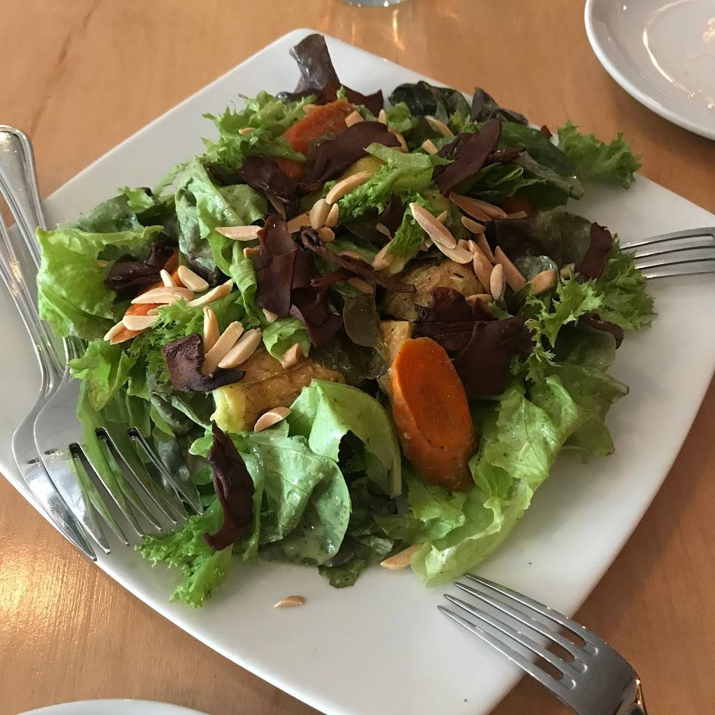 Plant | restaurant | 165 Merrimon Ave, Asheville, NC 28801, USA | 8282587500 OR +1 828-258-7500