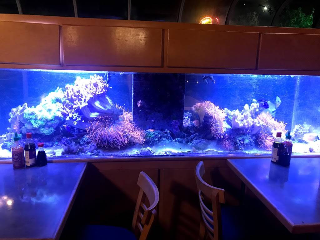 Spring House Thai Kitchen and Pho | restaurant | 2223 California Ave SW, Seattle, WA 98116, USA | 2069378807 OR +1 206-937-8807