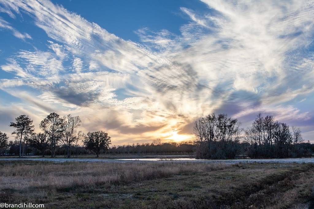 Congaree and Penn | restaurant | 11830 Old Kings Rd, Jacksonville, FL 32219, USA | 9045271945 OR +1 904-527-1945