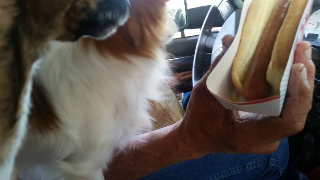 Sonic Drive-In | restaurant | 327 W Broad St, Lepanto, AR 72354, USA | 8704752818 OR +1 870-475-2818