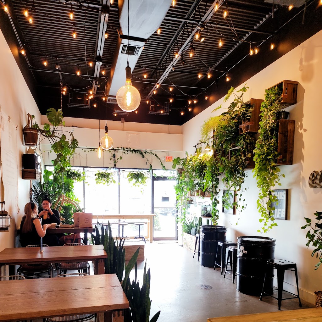 Leafy | restaurant | 641 NW 100th Pl, Pembroke Pines, FL 33024, USA | 9545054061 OR +1 954-505-4061