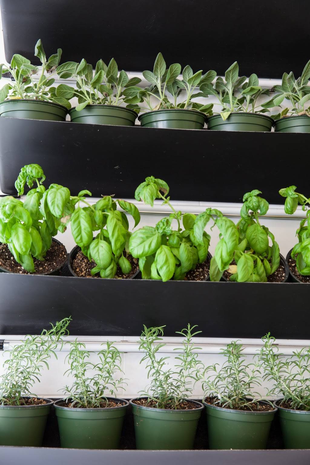 Bake Homemade Pizza Co | restaurant | 268 E Deerpath Rd, Lake Forest, IL 60045, USA | 8476156000 OR +1 847-615-6000