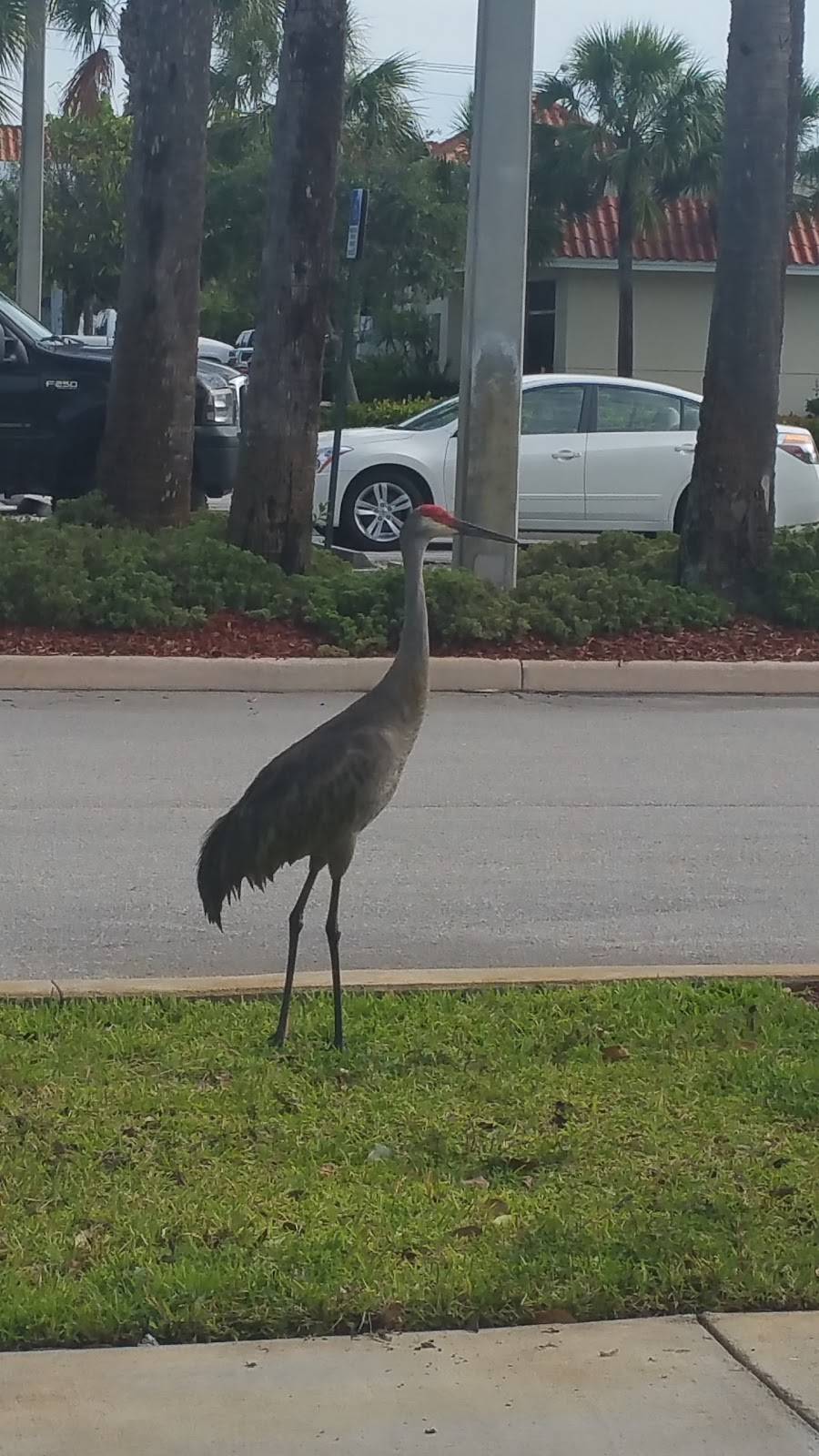 Dunkin | bakery | 10130 Northlake Blvd Suite 218, West Palm Beach, FL 33412, USA | 5617751449 OR +1 561-775-1449