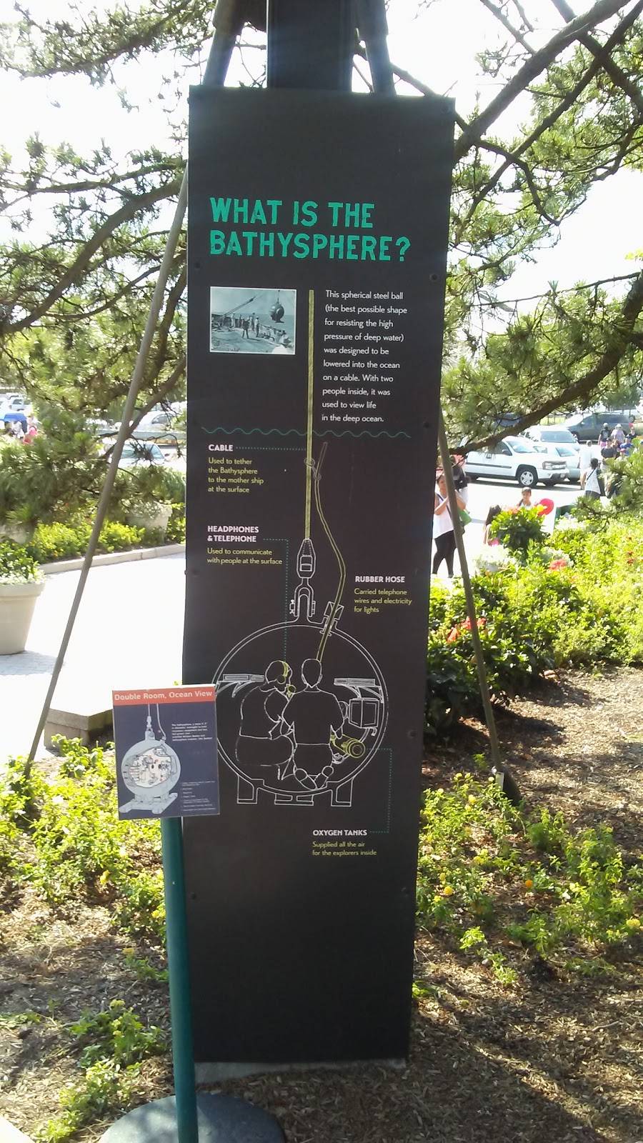 Super Convenience Deli & Grocery | restaurant | 1525 E New York Ave, Brooklyn, NY 11212, USA | 7183424193 OR +1 718-342-4193