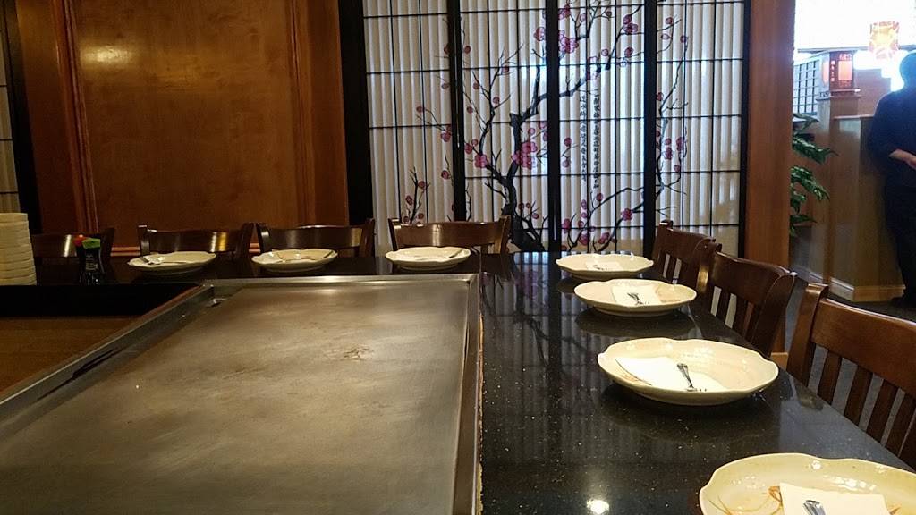 Mt Fuji Japanese Restaurant | restaurant | 830 County Rd 64, Elmira, NY 14903, USA | 6077398828 OR +1 607-739-8828