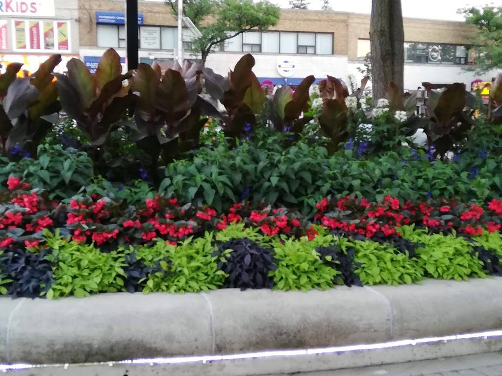 Subway | restaurant | 2430 Bloor St W, Toronto, ON M6S 1P9, Canada | 4167697827 OR +1 416-769-7827