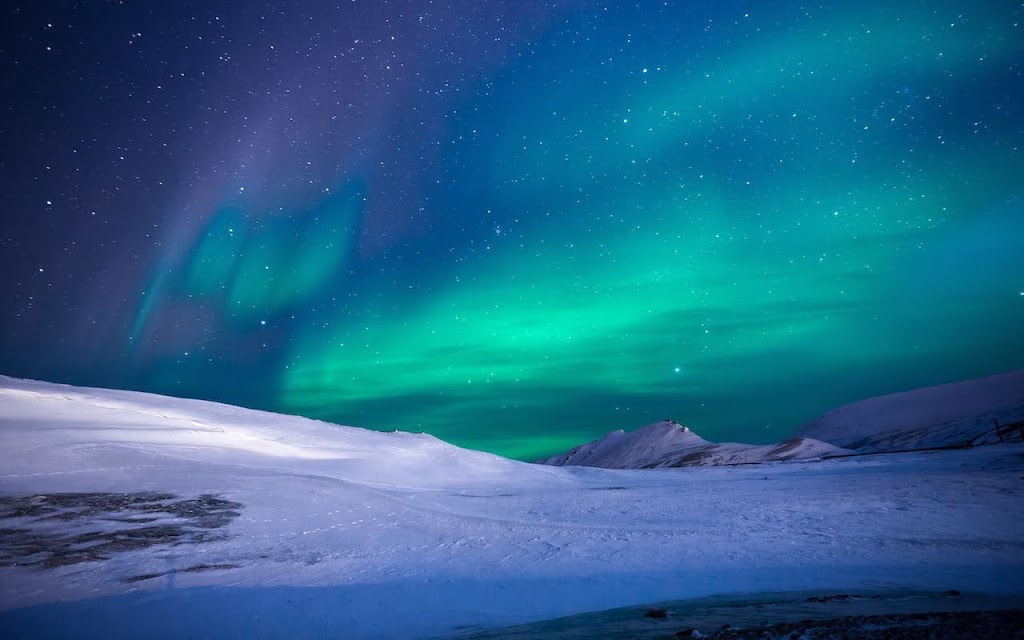 The Sandwich Odyssey | restaurant | 2001 Cornwall Ave, Bellingham, WA 98225, USA | 3607386919 OR +1 360-738-6919