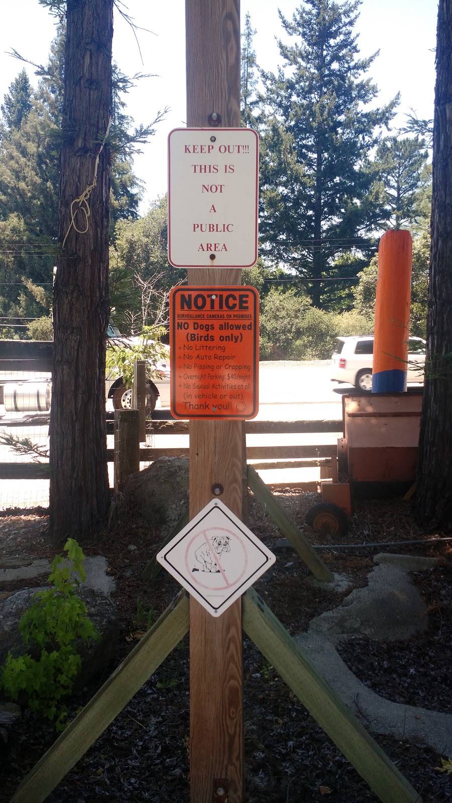 Casa Del 17 | restaurant | 22791 Santa Cruz Hwy, Los Gatos, CA 95033, USA | 4083531717 OR +1 408-353-1717