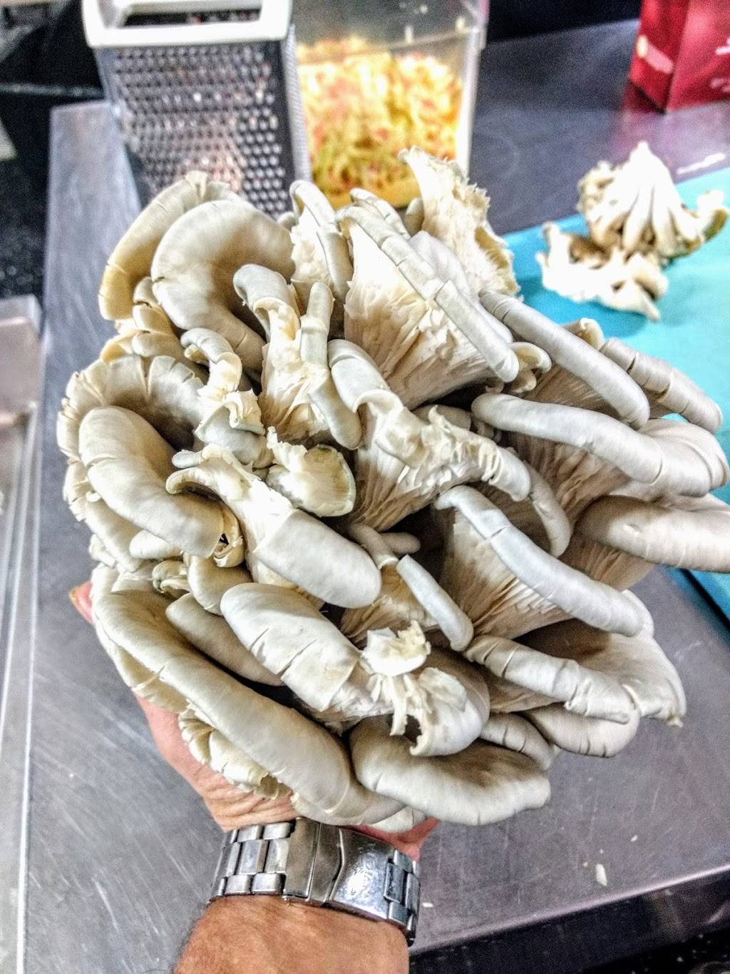 Shire Breu-Hous | restaurant | 63 Flansburg Ave, Dalton, MA 01226, USA | 4138428313 OR +1 413-842-8313