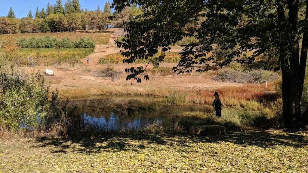 Smokey Ridge Ranch - Apple Hill #133 | restaurant | 2160 Carson Rd, Placerville, CA 95667, USA | 5306265077 OR +1 530-626-5077