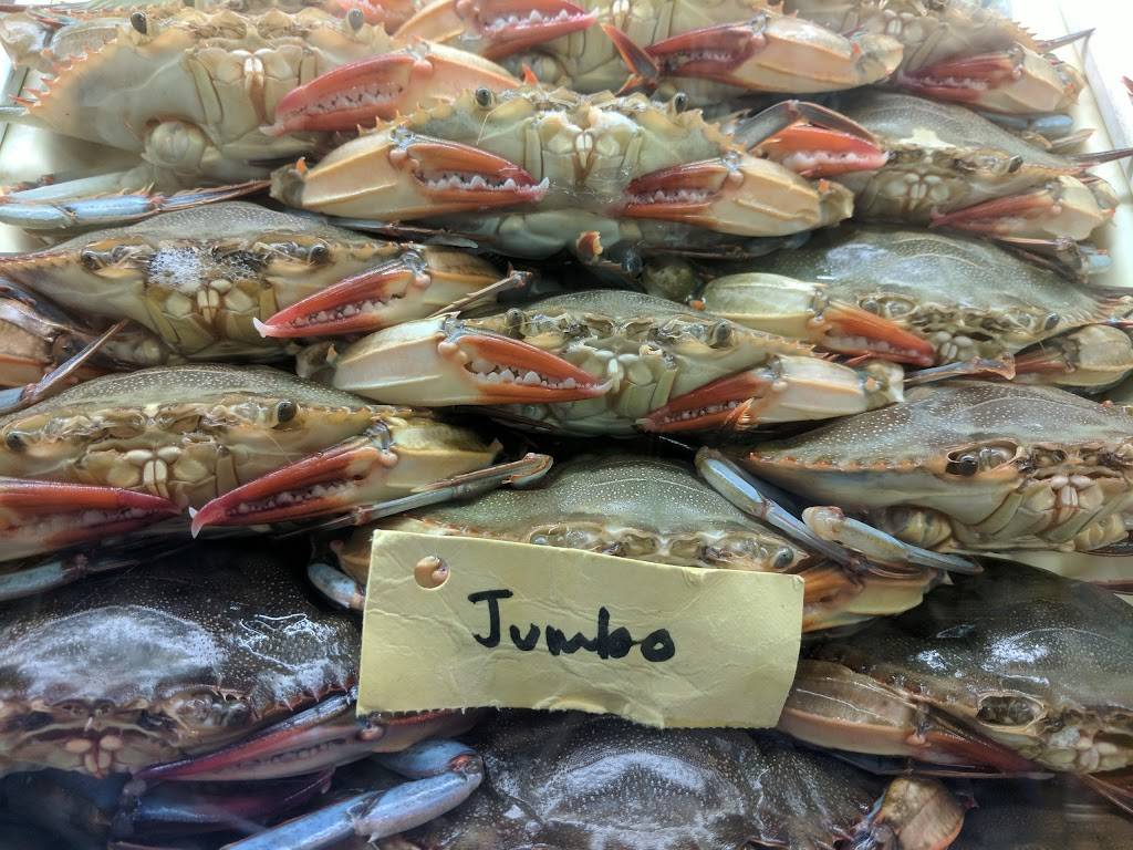 Shoreline Seafood Inc. | restaurant | 1034 Route 3 North, Gambrills, MD 21054, USA | 4107217767 OR +1 410-721-7767