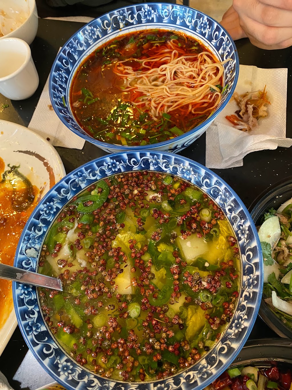 Northwest China Cuisine 回味宁夏 | restaurant | 6096 Stevenson Blvd, Fremont, CA 94538, USA | 5105738686 OR +1 510-573-8686