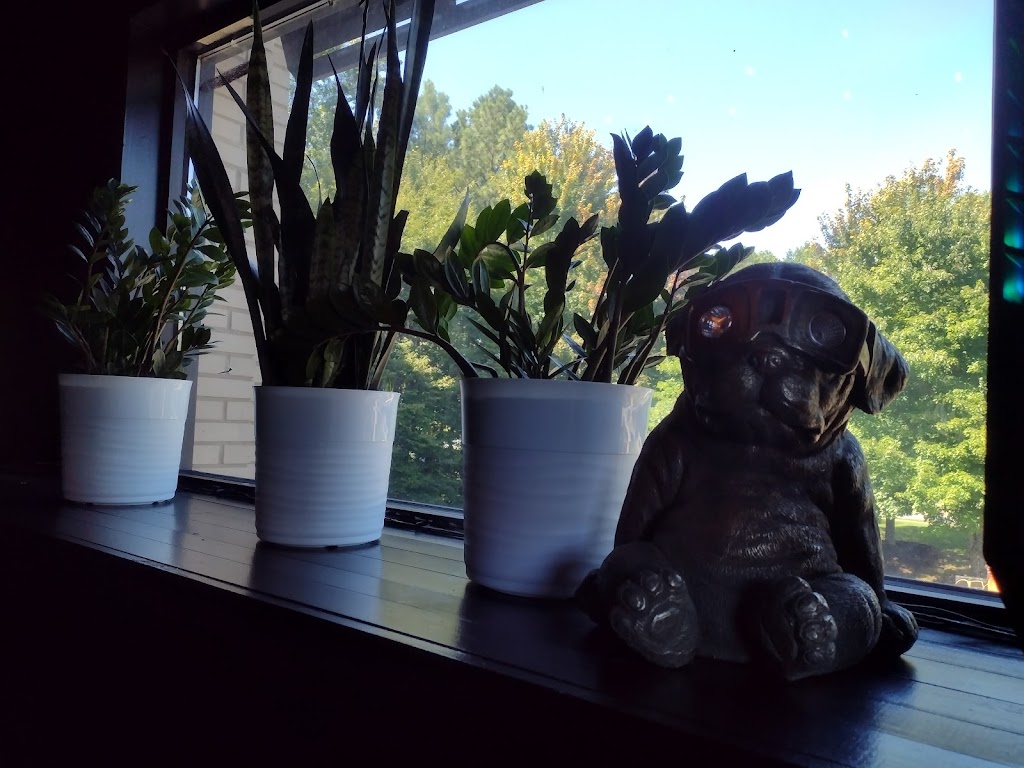 EggRoll Boyz | restaurant | 5815 Windward Pkwy #211, Alpharetta, GA 30005, USA | 7706969386 OR +1 770-696-9386