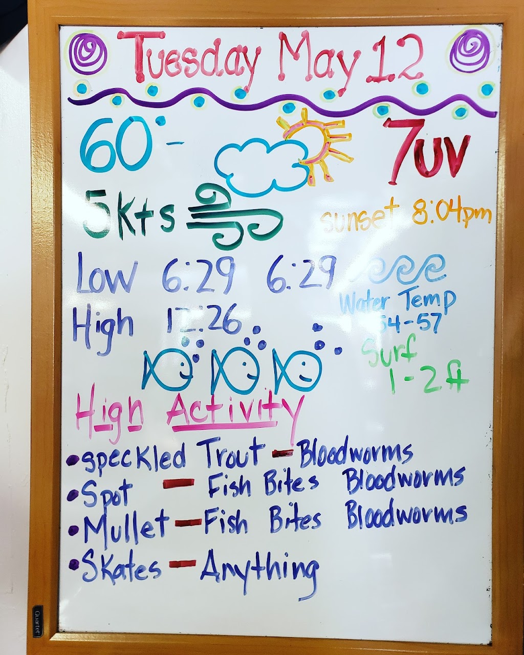 Wilkins Brothers Bait & tackle | meal takeaway | 3701 Sandpiper Rd, Virginia Beach, VA 23456, USA | 7577213363 OR +1 757-721-3363