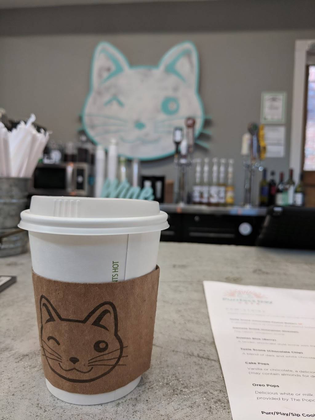 Purrfect Day Cat Cafe | restaurant | 1741 Bardstown Rd, Louisville, KY 40205, USA | 5029165051 OR +1 502-916-5051