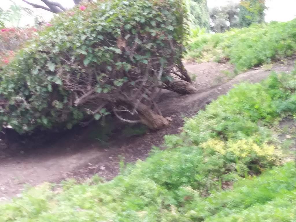 Wateridge | restaurant | 5161 W Slauson Ave, Los Angeles, CA 90056, USA | 3232949444 OR +1 323-294-9444